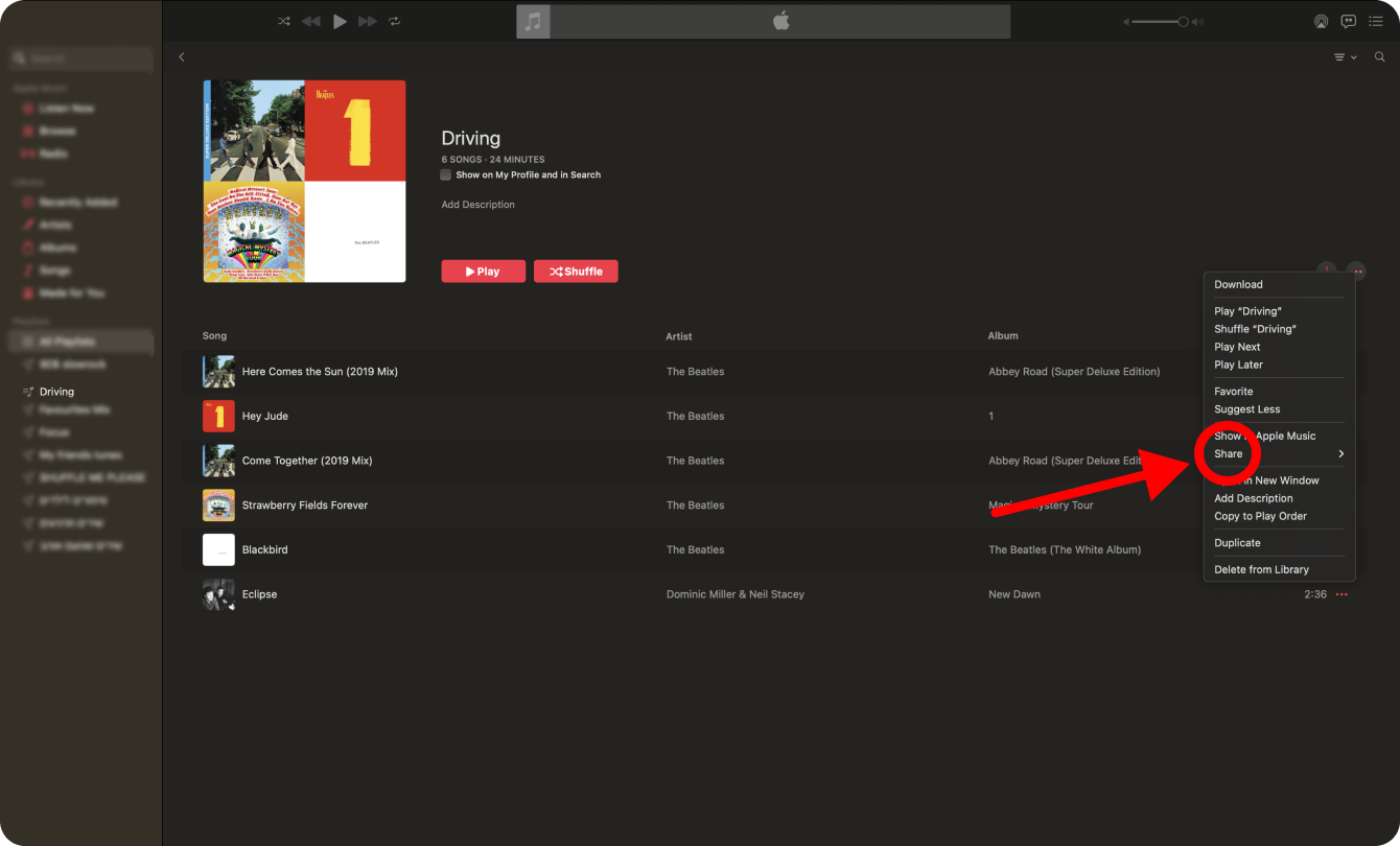 Viene visualizzato un menu a discesa che mostra l'opzione &quot;Condividi playlist...&quot;