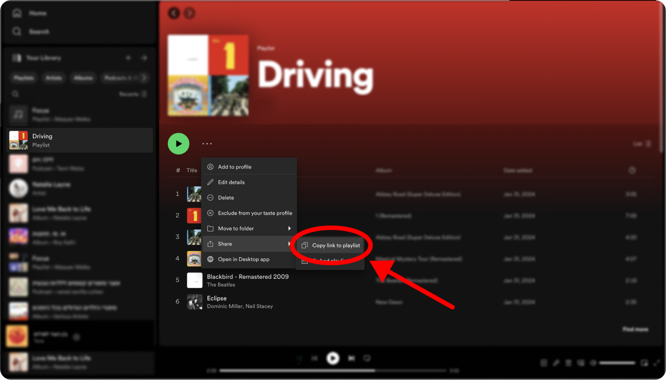 Seleziona &quot;Copia collegamento alla playlist&quot; per copiare il collegamento